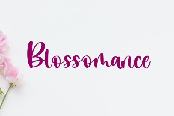 Blossomance Font for Business Branding